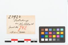 Etikett zu Bronzebrillenfibel (NHMW-PRAE-025924)